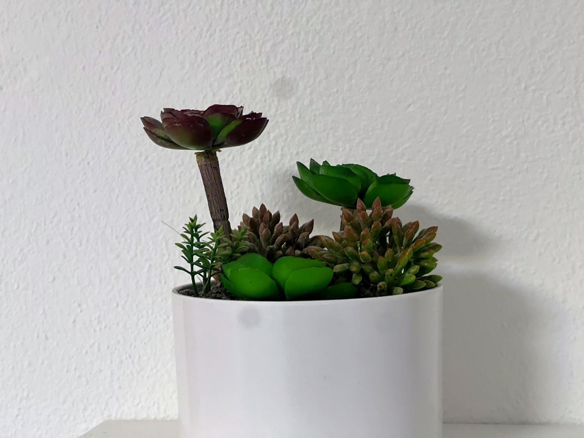 דירות Blago Split Center מראה חיצוני תמונה